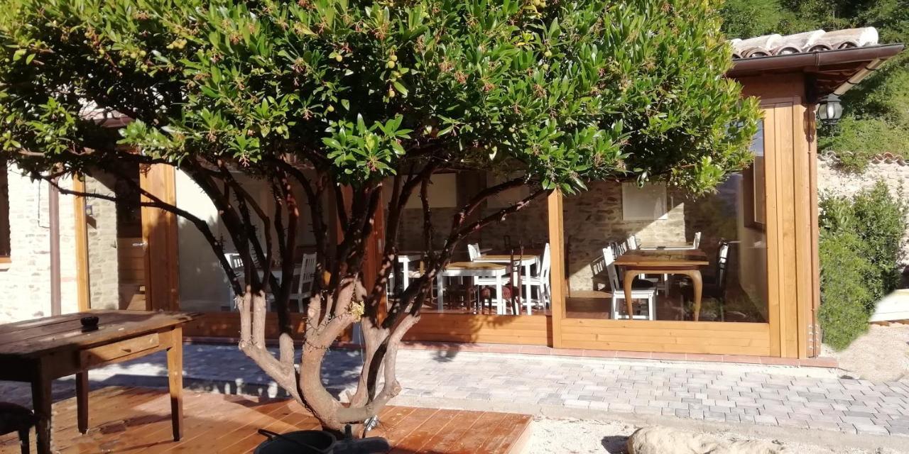 Country House Ca' Vernaccia Guest House อูร์บีโน ภายนอก รูปภาพ