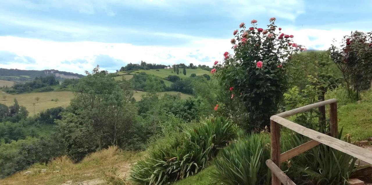 Country House Ca' Vernaccia Guest House อูร์บีโน ภายนอก รูปภาพ
