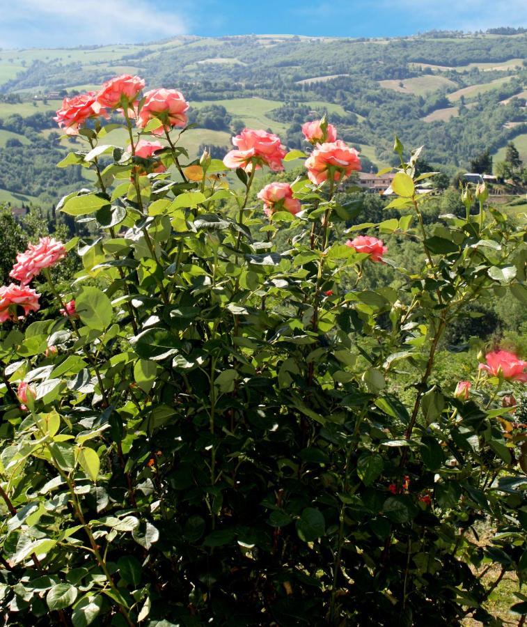Country House Ca' Vernaccia Guest House อูร์บีโน ภายนอก รูปภาพ