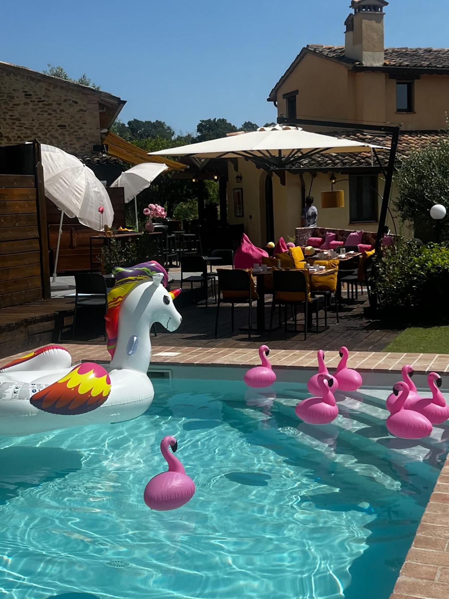 Country House Ca' Vernaccia Guest House อูร์บีโน ภายนอก รูปภาพ