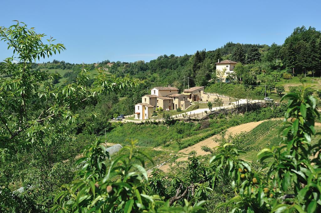 Country House Ca' Vernaccia Guest House อูร์บีโน ภายนอก รูปภาพ