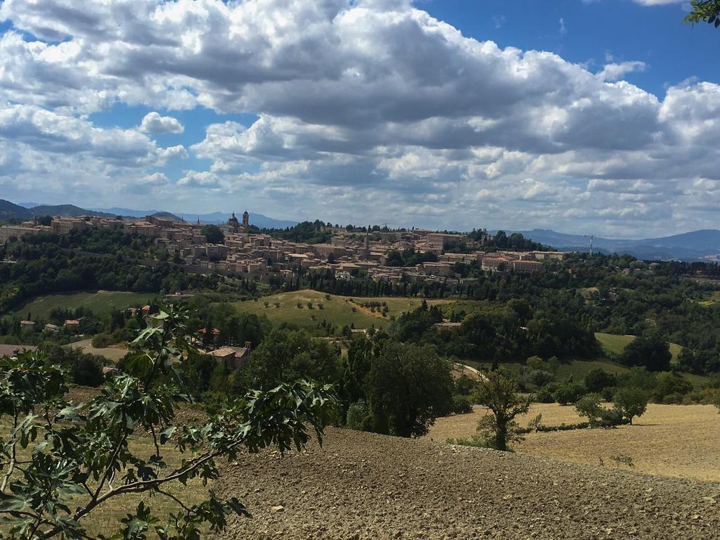 Country House Ca' Vernaccia Guest House อูร์บีโน ภายนอก รูปภาพ